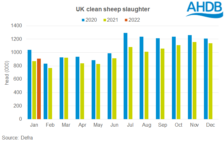 Chart showing UK clean sheep slaughter